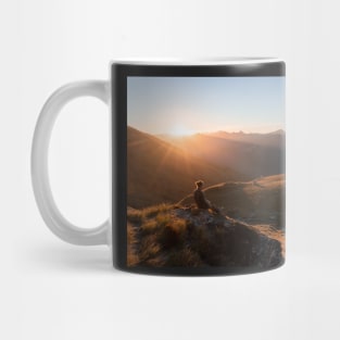 View of the Sunset from Mountain Hut in New Zealand Mug